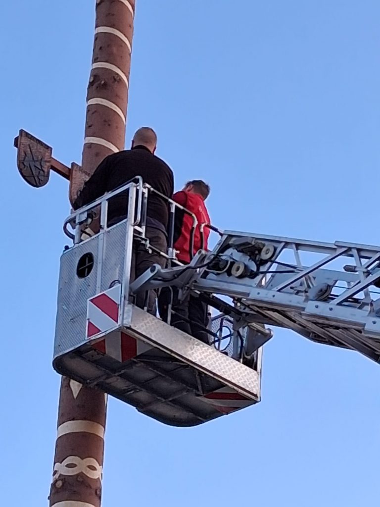 Maibaum